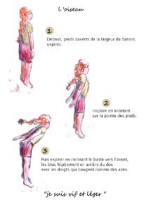carte posture de l'oiseau verso