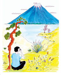 Quelques cartes du 3e livre de yoga pour enfant et adolescent